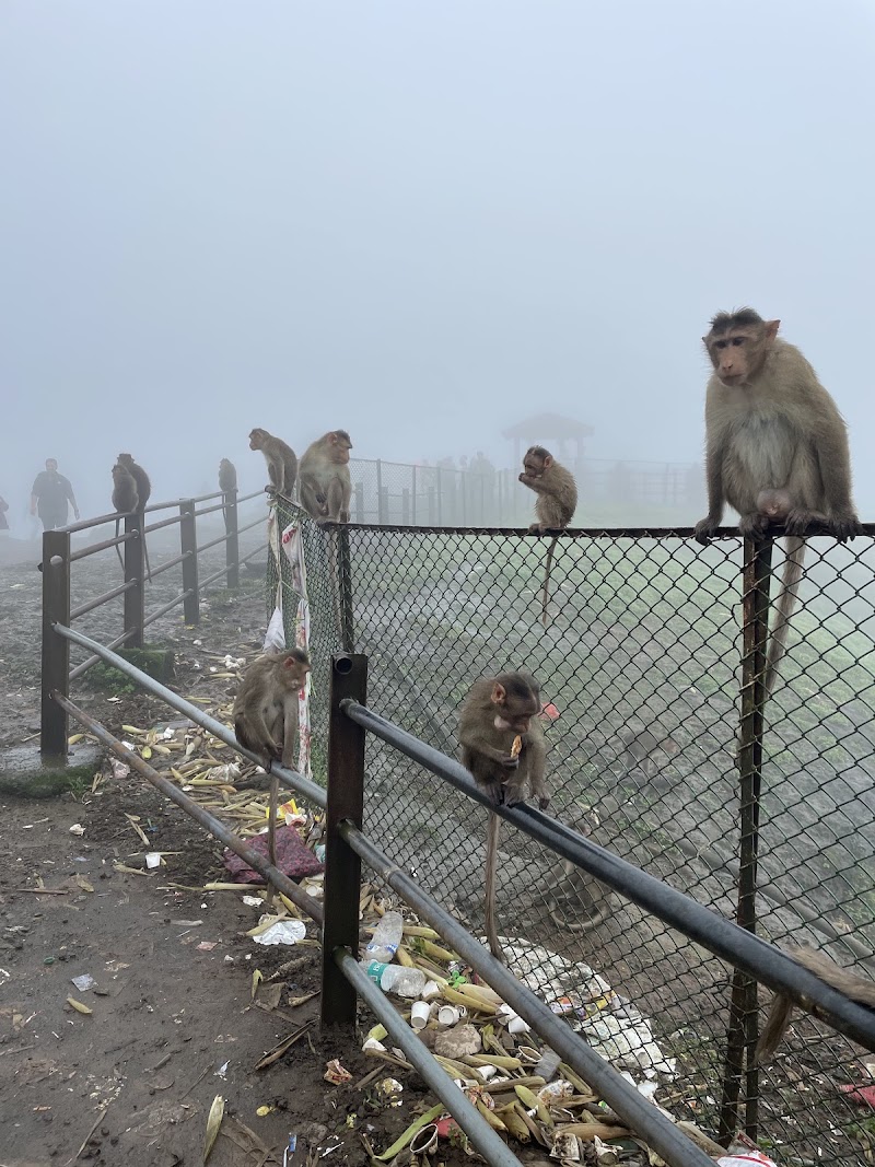 Tiger Point Lonavala - Tiger Point Lonavala Kurvande, Maharashtra 410401, India