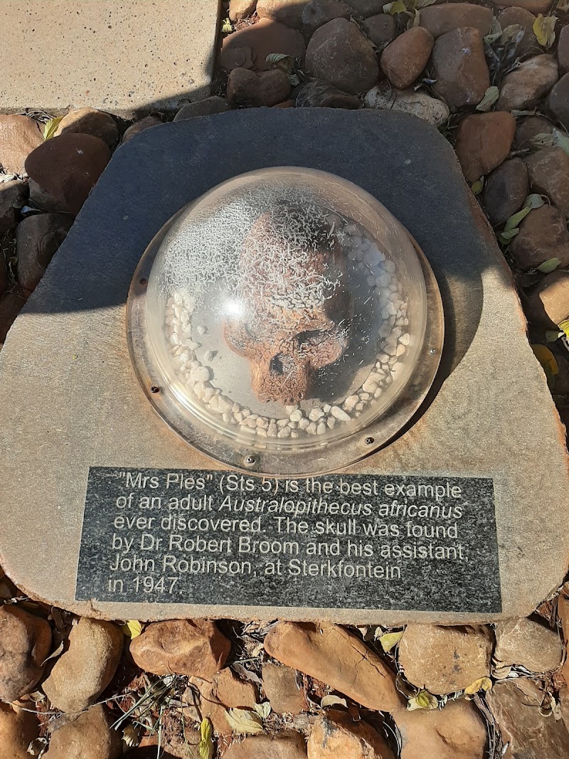 Cradle of Humankind - Cradle of Humankind, South Africa