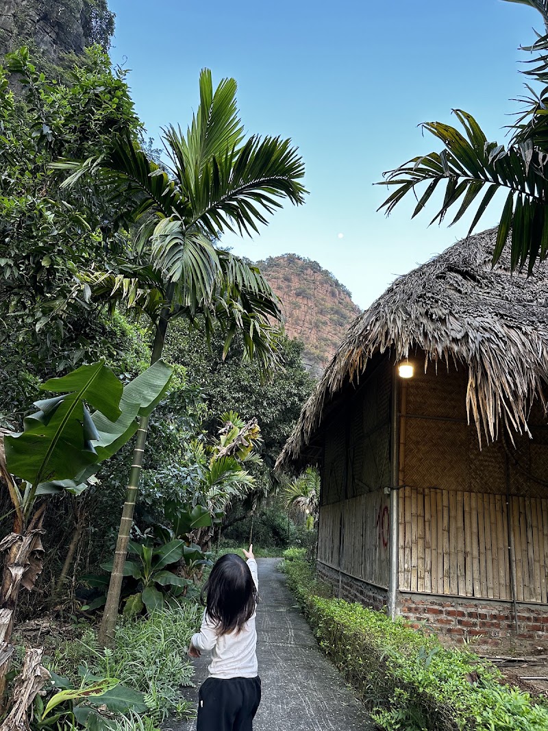 Ninh Binh Countryside Homestay - Ninh Binh Countryside Homestay, Khu Đồng cùng, Thôn khê thượng, Hoa Lư, Ninh Bình, Vietnam