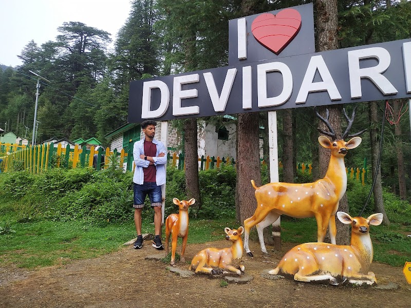 Devidarh park - Devidarh park F4FC+XJP, Dpf Devidarh, Himachal Pradesh 175039, India