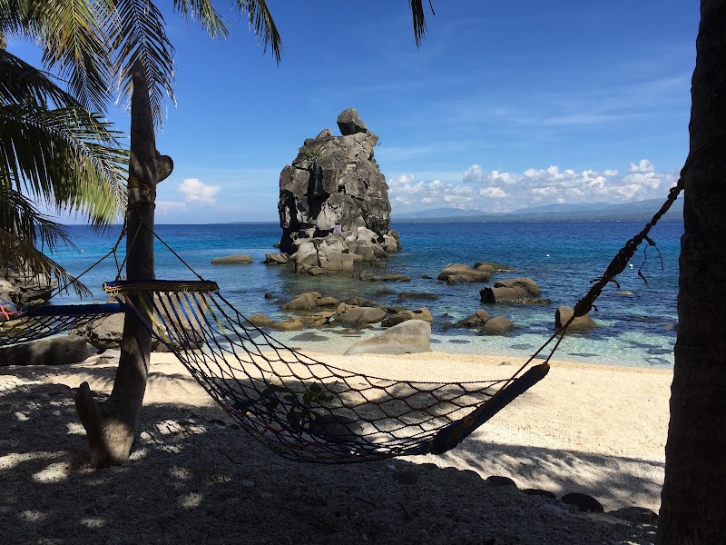 Apo Island Beach Resort - Apo Island Beach Resort, Apo Island, Dauin, 6217 Negros Oriental, Philippines
