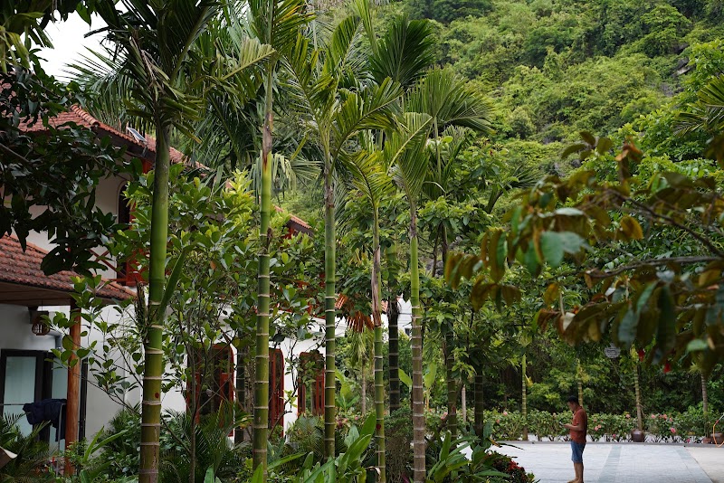 Mộc An Village Tam Cốc - Resort and Spa - Mộc An Village Tam Cốc - Resort and Spa, Đội 1 Hải Nham, Ninh Bình, 430000, Vietnam