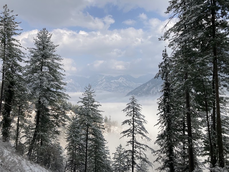 Freebird's nest - Freebird's nest Village Tapnali PO Gadagushaini via jibhi Tehsil Balichowki, Tapnali, Himachal Pradesh 175123, India