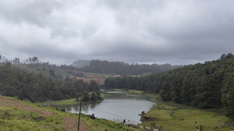 Travel2ooty - Travel2ooty EMA Complex, Above Vishal Book Center, Near Atc Bus stand Manikoondu, Upper Bazar, Ooty, Tamil Nadu 643001, India