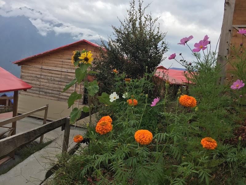 Blue Poppy Resort, Auli - Blue Poppy Resort, Auli near GMVN, Auli, Auli Laga Salude, Uttarakhand 246443, India