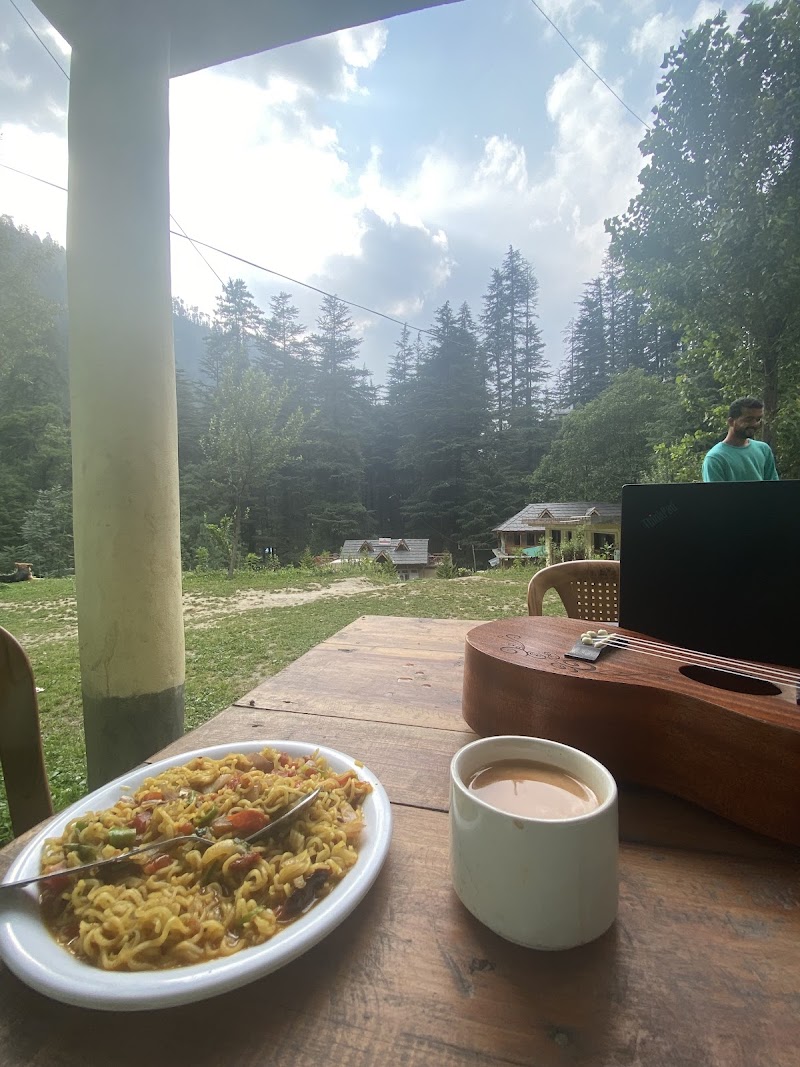 Ozark House - Ozark House Road, near Jibhi, Gadagushaini, Jibhi, Rashala, Himachal Pradesh 175123, India