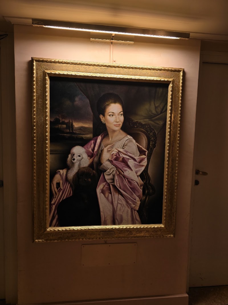 Teatro La Fenice - Teatro La Fenice, Campo S. Fantin, 1965, 30124 Venezia VE, Italy