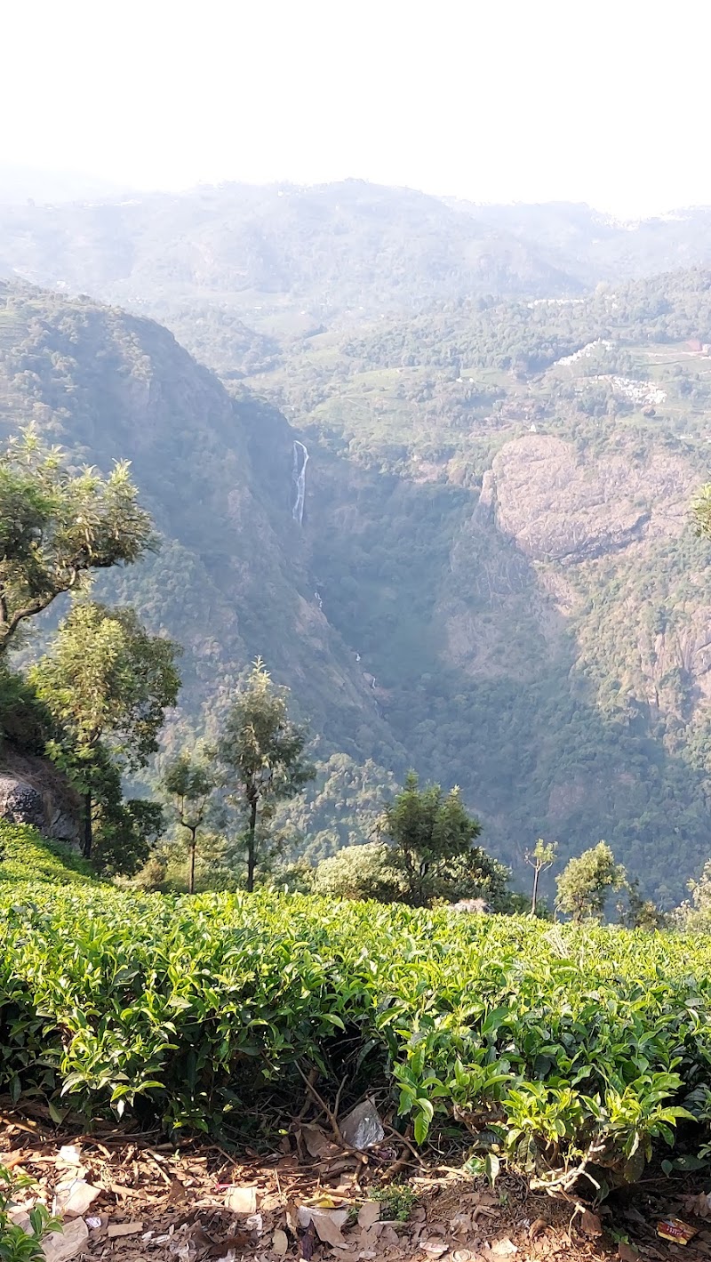 Tea Garden Tour - Tea Garden Tour 9R2C+8GP, Dolphin's Nose Rd, Alwarpet, Burliyar, Tamil Nadu 643102, India