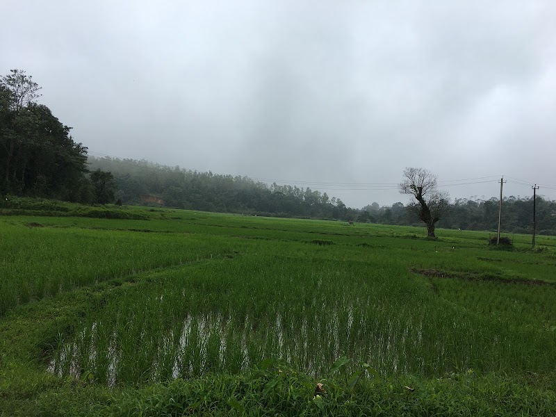 Sakleshpur Lake Park (Ayyappa Swamy Temple) - Sakleshpur Lake Park (Ayyappa Swamy Temple) WQVJ+8V5, Sakleshpura, Karnataka 573134, India