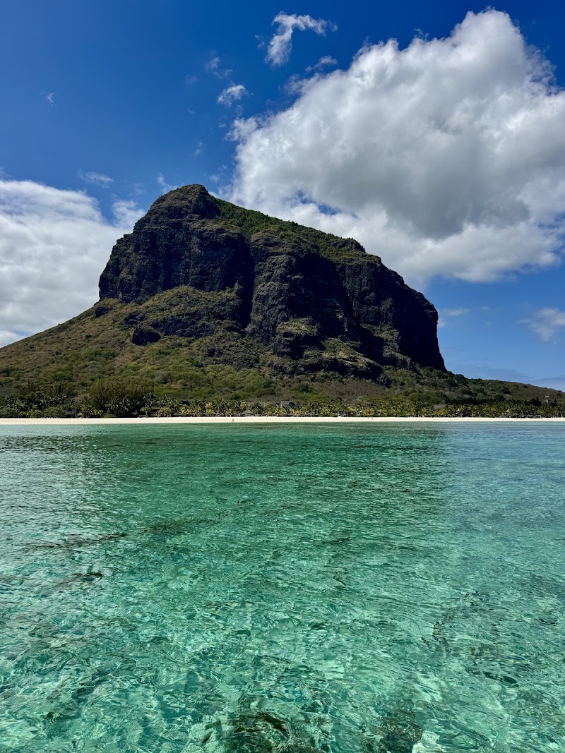 Lydia Boat Mauritius/Whales and Dolphins Encounter/Swim with wild dolphins Private boat tour Eco-Friendly Dolphins encounter