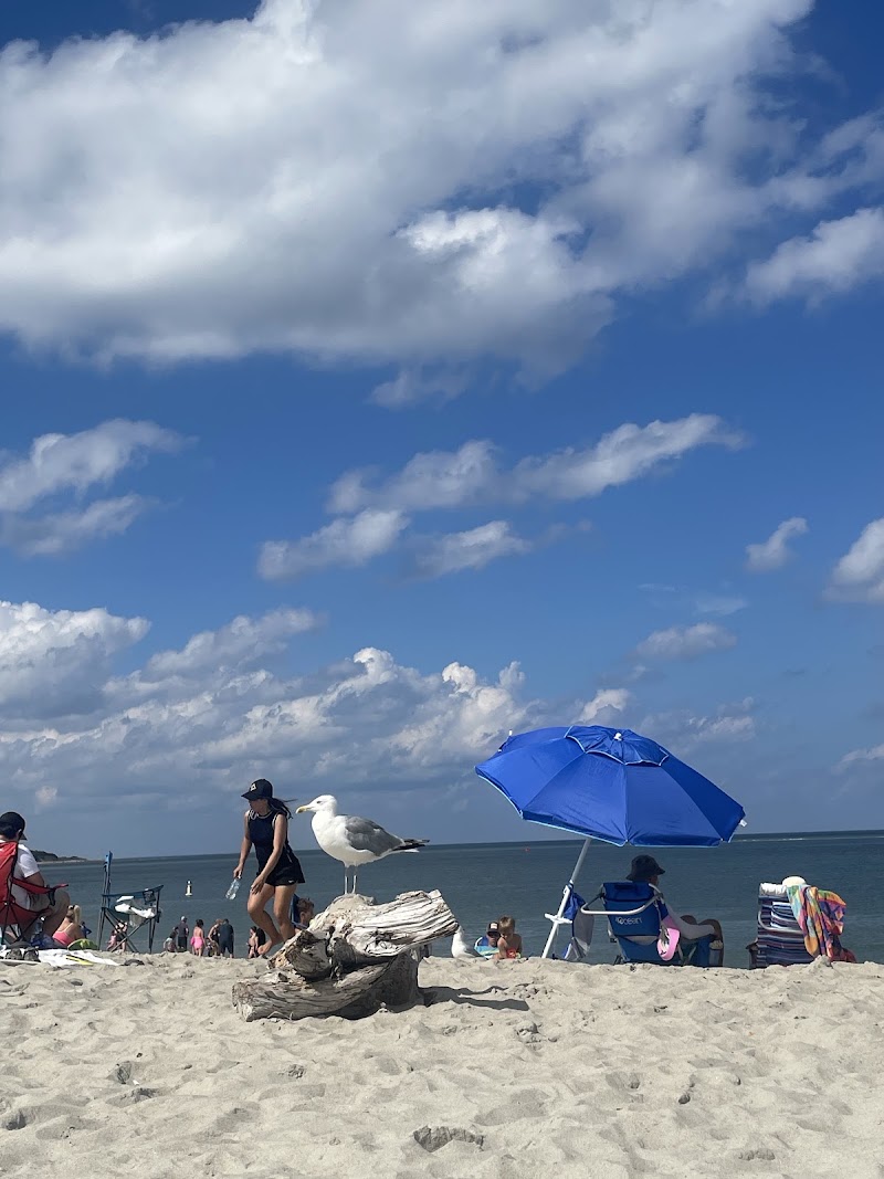 Crane Beach - Crane Beach M6RH+54, Ipswich, MA 01938, USA