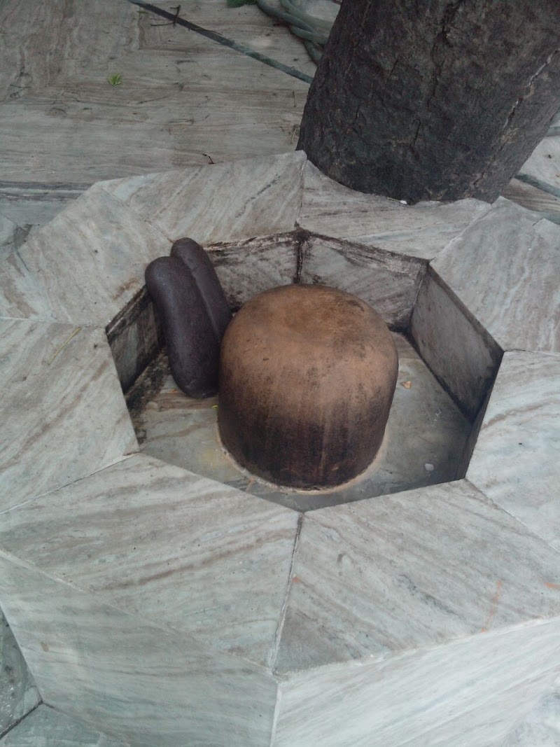 Saini - Saini, Uttar Pradesh 250001, India