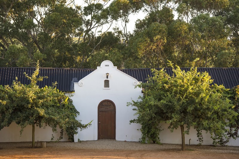 Diemersdal Wine Estate - Diemersdal Wine Estate, Koeberg Road, Durbanville, Cape Town, 7550, South Africa