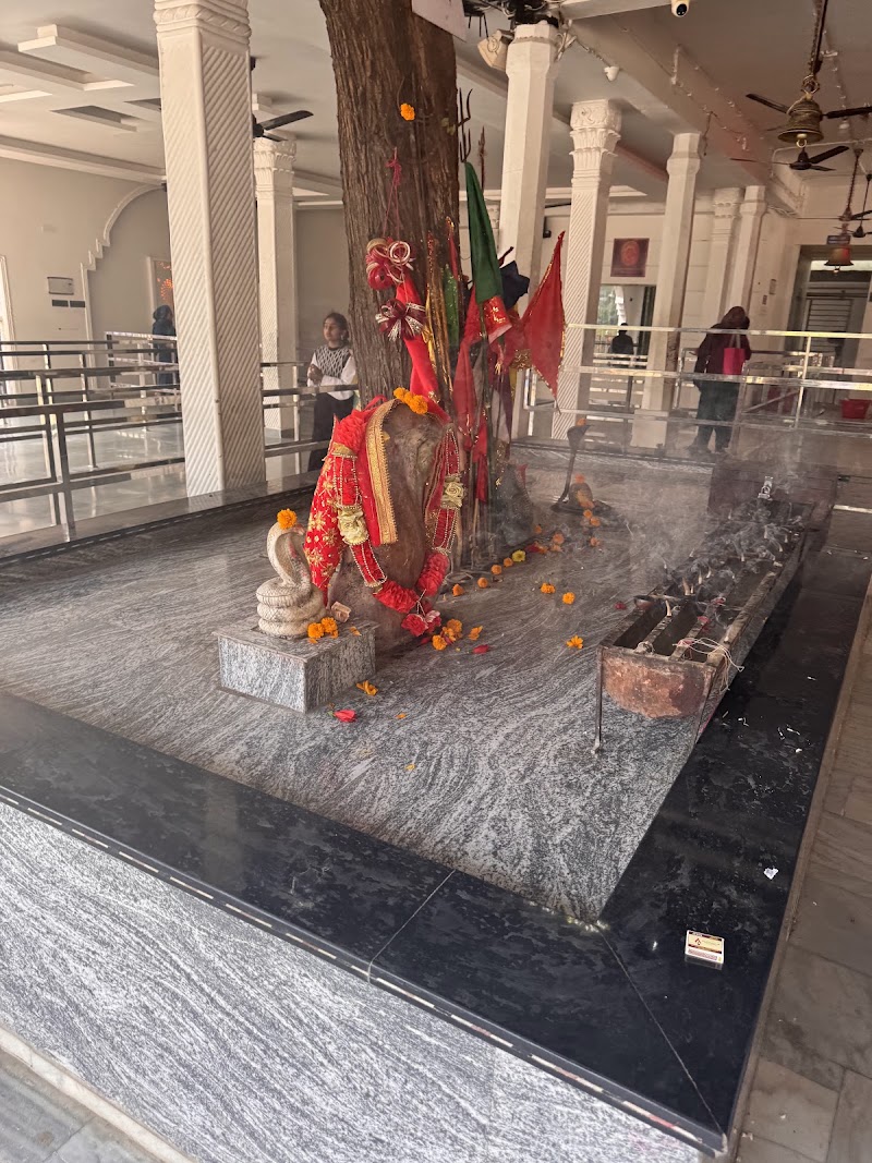 Nag mandir ranital - Nag mandir ranital Nag mandir, Chelian, Himachal Pradesh 176029, India