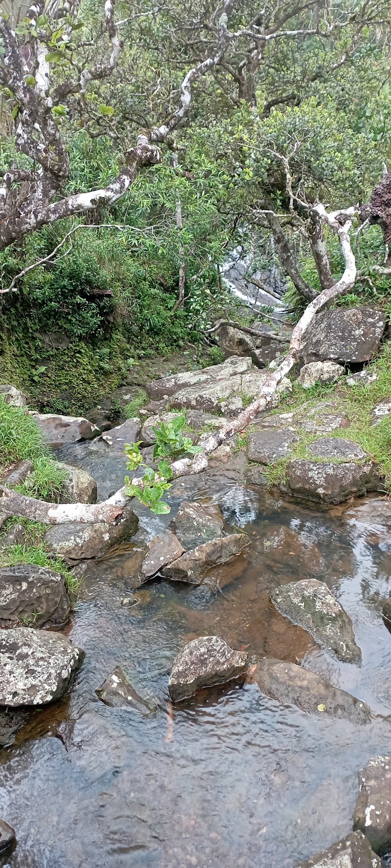 Alexandra Falls - Alexandra Falls, 30 Old Moka Rd, Mauritius