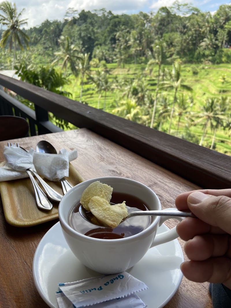 Rice terrace cafe - Rice terrace cafe Jl. Raya Tegallalang, Tegallalang, Kec. Tegallalang, Kabupaten Gianyar, Bali 80561, Indonesia