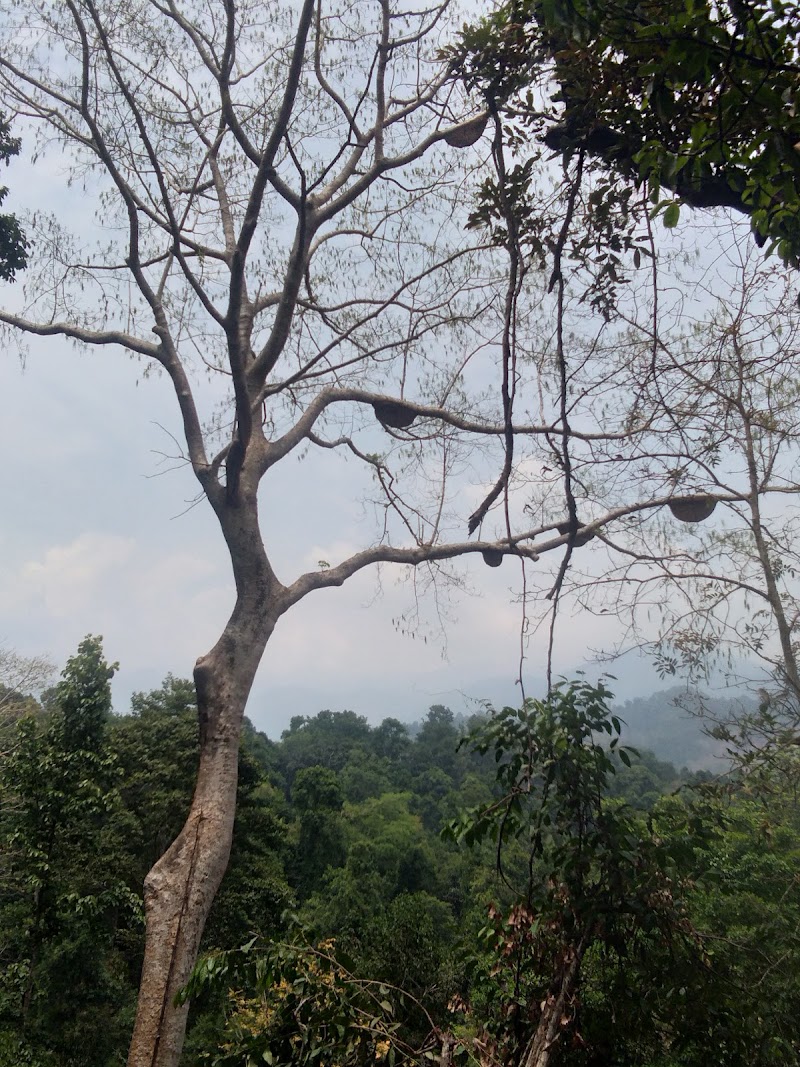 Munderi - Munderi, Kerala, India