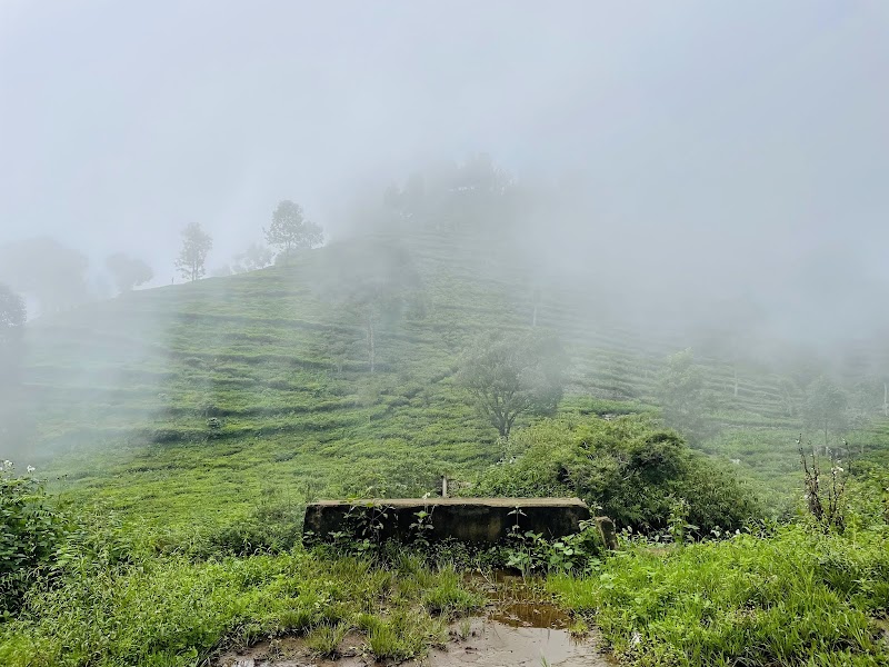 GO KOTAGIRI TOURISM - GO KOTAGIRI TOURISM 5/8 A2, GoKotagiri Lounge, Pandian Park State Highway 15 Nihung Post, Ooty, Highway, Kotagiri, Tamil Nadu 643217, India