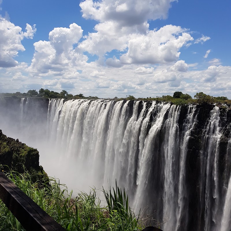 Safari Victoria Falls - Safari Victoria Falls, Victoria Falls, Zimbabwe