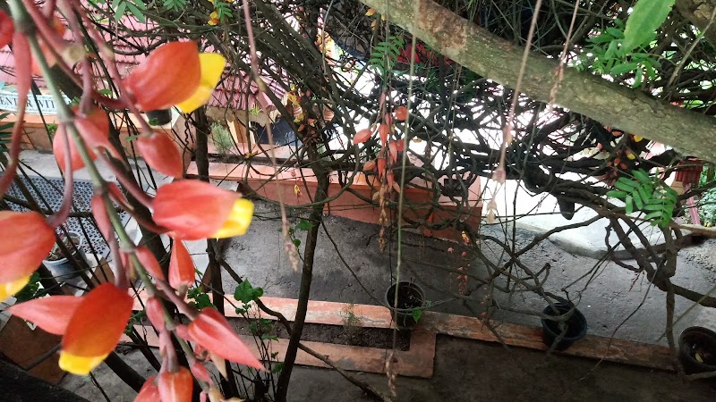 GreenValley Ayurvedic & Spice Garden - GreenValley Ayurvedic & Spice Garden Kottayam - Kumily Rd, Kumily, Periyar, Kerala 685509, India