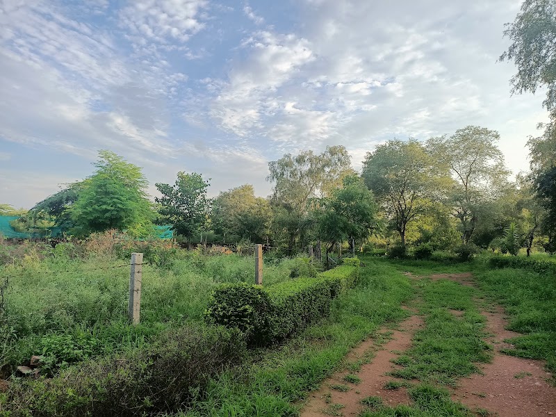 Aravali Retreat - Aravali Retreat, A 43 Aravali Retreat Near Pathways World School Raisina, Village, Gurugram, Haryana 122102, India
