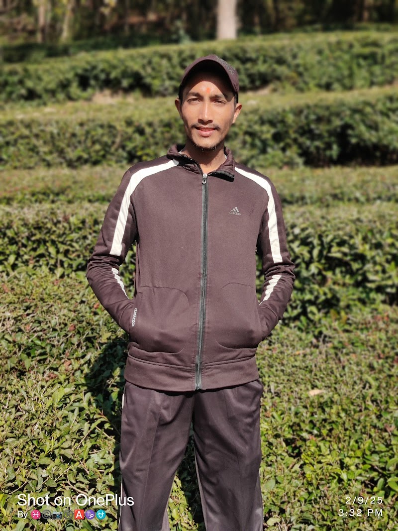 Dhouladhar Tea Garden - Dhouladhar Tea Garden, 682X+2HM, Dharamsala Rd, Dari, Gabli Dar, Hodal, Himachal Pradesh 176215, India