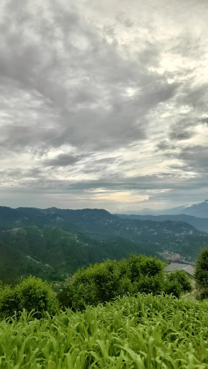 Dalhousie kalatop camping - Dalhousie kalatop camping H229+8FF, Kalatope R.F, Kalatop, Himachal Pradesh 176304, India