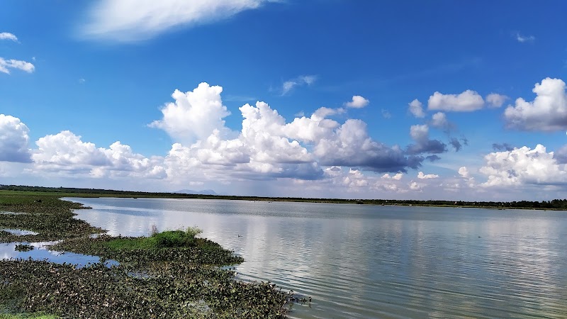 Hoskote Lake - Hoskote Lake, Amanidoddakere, Karnataka