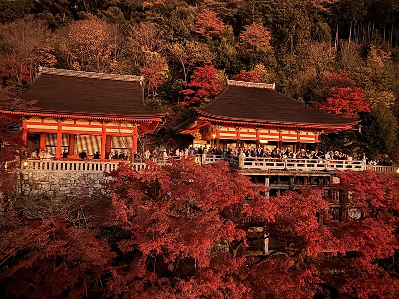 Kiyomizu-dera - Kiyomizu-dera 1-chōme-294 Kiyomizu, Higashiyama Ward, Kyoto, 605-0862, Japan