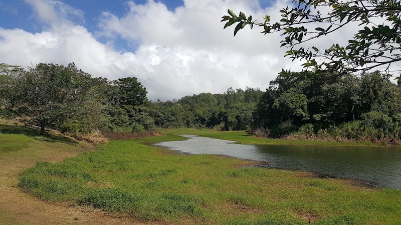 Parque del Lago de Nuevo Arenal - Parque del Lago de Nuevo Arenal, G4P4+PQQ, Guanacaste Province, Nuevo Arenal, Costa Rica