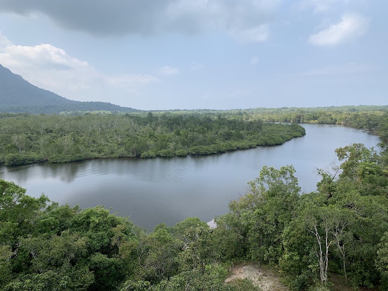 Phu Quoc National Park - Phu Quoc National Park, 82JJ+M57, Phu Quoc, An Giang, Vietnam