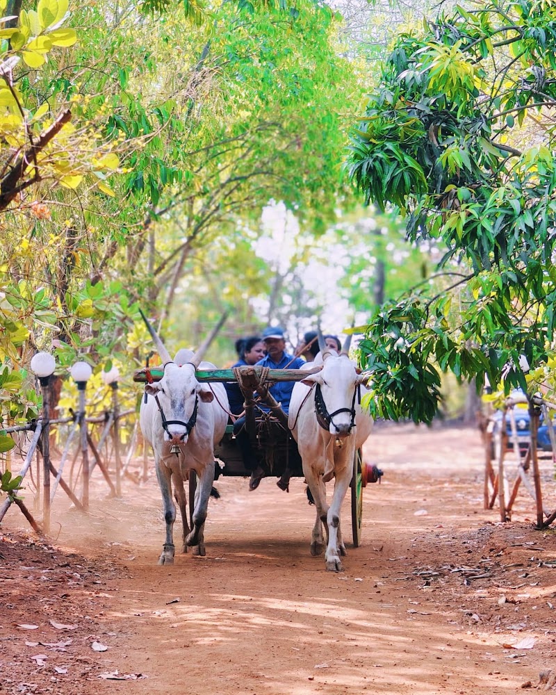 NS DOSTI FARM - NS DOSTI FARM, Chevane, Karjat, Maharashtra 410101, India