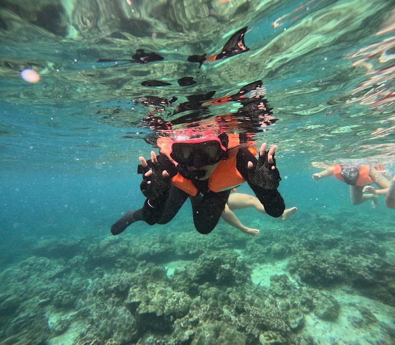 Longtail boat tours aonang Krabi - Longtail boat tours aonang Krabi, 261 ม1, Tambon Ao Nang, เมือง Chang Wat Krabi 81180, Thailand