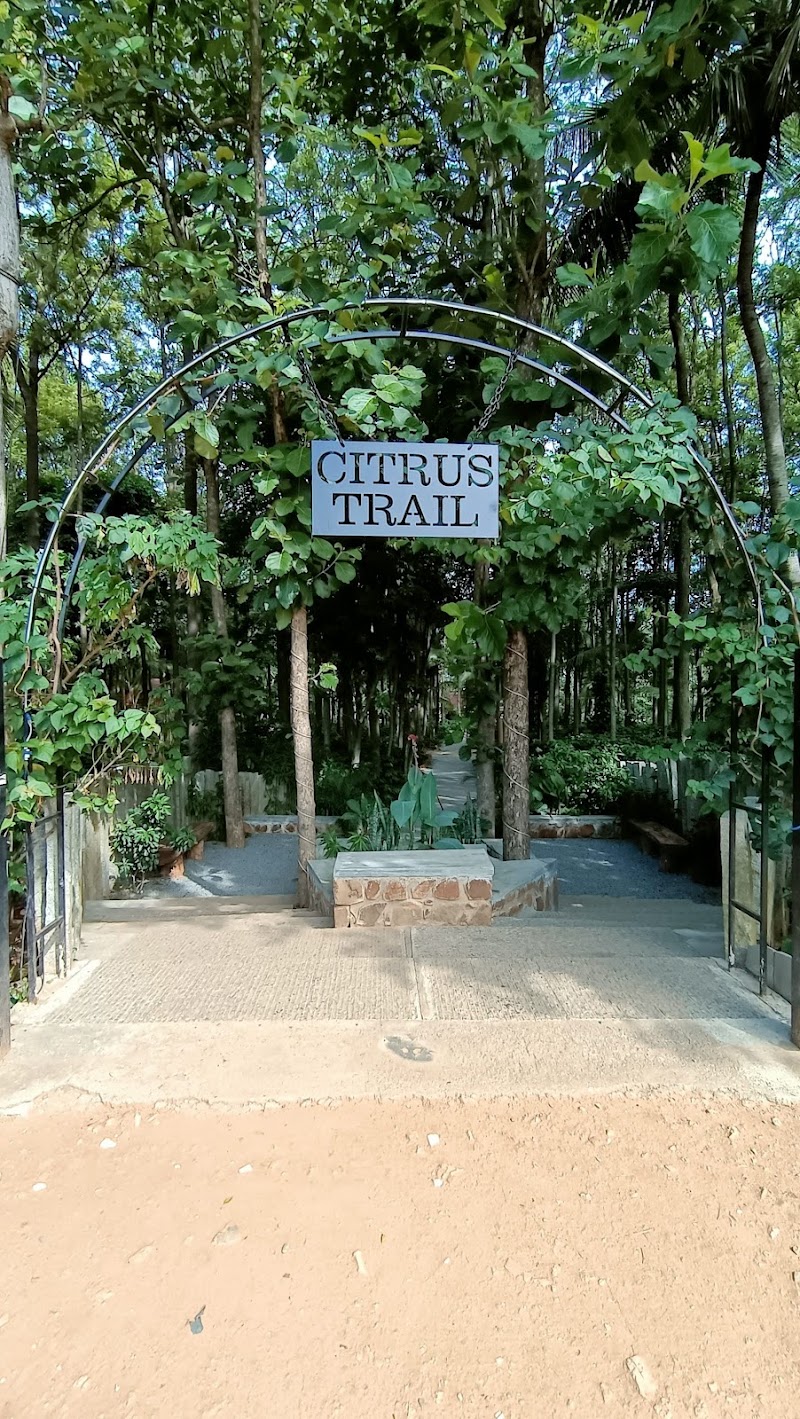 Citrus trial farm - Citrus trial farm PHF9+HGR, Hongemara, Shivanahalli, Karnataka 560083, India