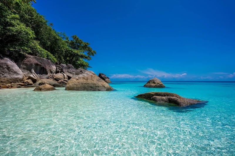 Similan Islands Liveaboard Expedition - Similan Islands Liveaboard Expedition 31/13 Moo 6 Khao Lak, ตำบลคึกคัก อำเภอตะกั่วป่า พังงา 82190, Thailand