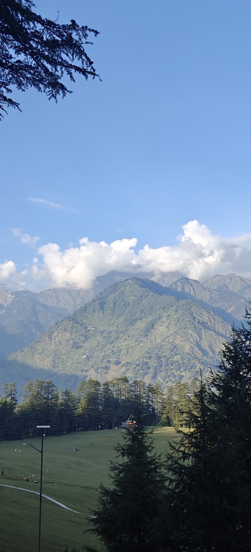 Sainj Valley - Sainj Valley Q83F+WWP, Dusharh, Kanaun, Himachal Pradesh 175134, India