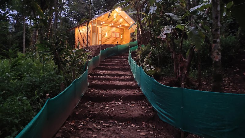 Mountainmist Wooden Cottages - Mountainmist Wooden Cottages, R66Q+FJ7, Ramakkalmedu, Kerala 685552, India