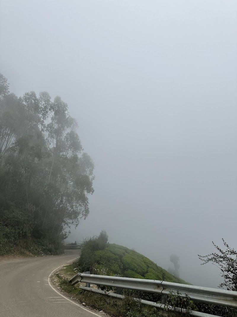 Tea garden view point - Tea garden view point, 46HP+9WJ, Munnar - Top Station Hwy, Bodi Hill North, Kannan Devan Hills, Tamil Nadu 625582, India