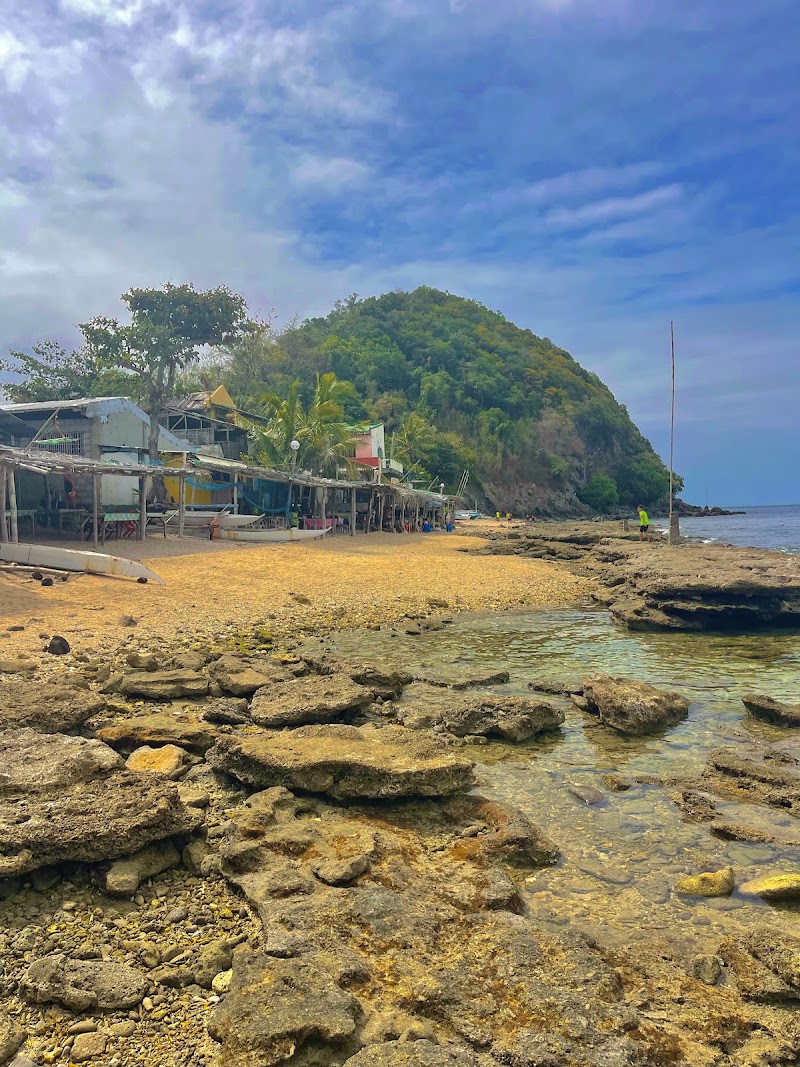 Apo Island - Apo Island, Dauin, 6217 Negros Oriental, Philippines