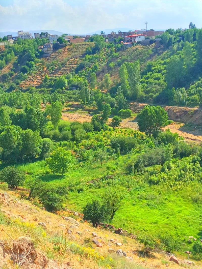 Khiav Chai Forest Park - Khiav Chai Forest Park, 9MXV+C6F, Meshginshahr, Ardabil Province, Iran