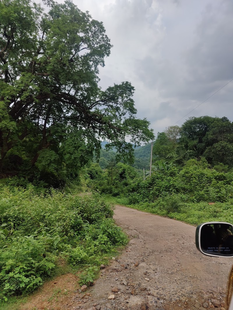 Ananthagiri - Ananthagiri, Andhra Pradesh 535145, India