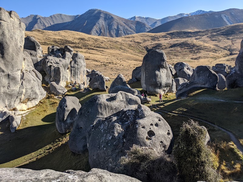 Castle Hill / Kura Tawhiti Conservation Area