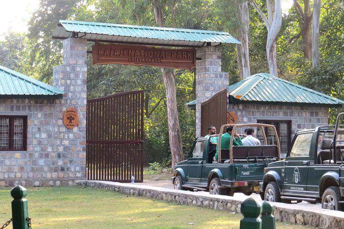 Rajaji Tiger Reserve - Rajaji Tiger Reserve, Uttarakhand, India