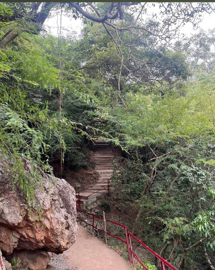 Talakona Waterfalls - Talakona Waterfalls Chittoor District, R668+J9C, Tirupathi, Andhra Pradesh 516101, India