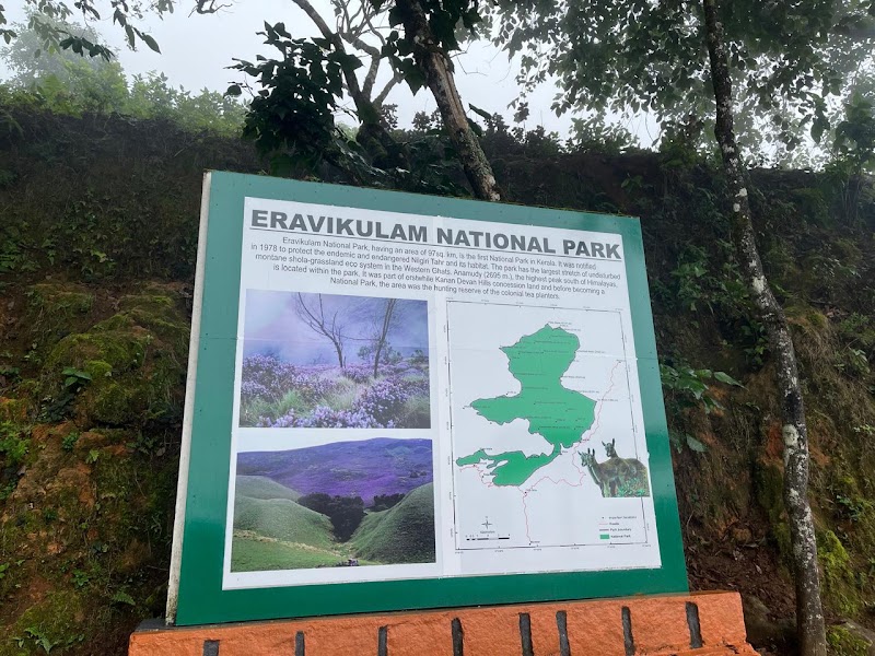 Eravikulam National Park - Eravikulam National Park Kannan Devan Hills, Kerala 685612, India