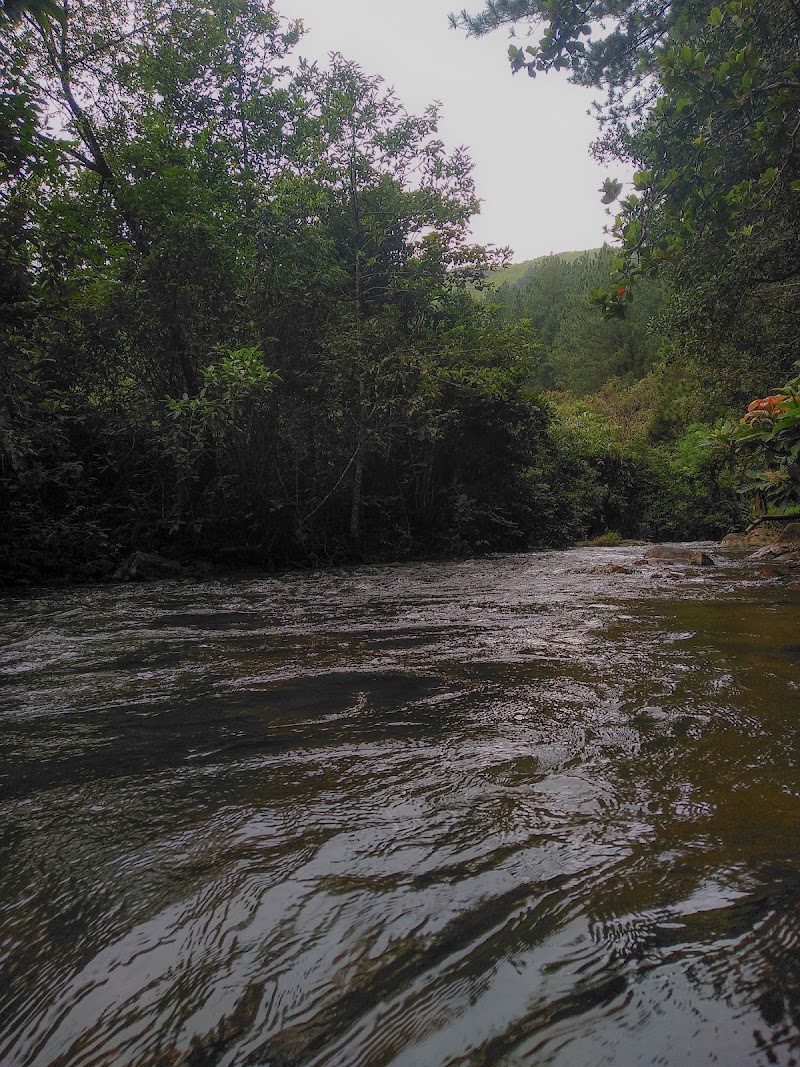 Lower Pine Forest - Lower Pine Forest MW4Q+VQ2, Vedikuzhi, Kolahalamedu, Keralam 685501, India