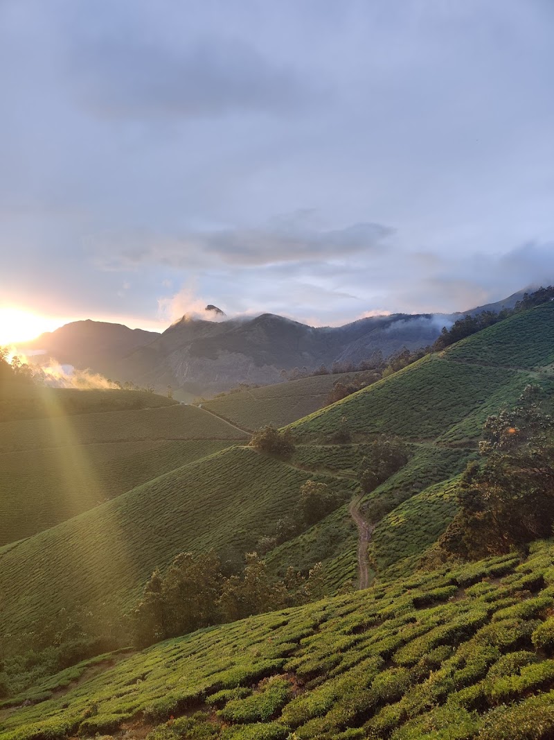 MUNNAR ADVENTURES BASE CAMP - MUNNAR ADVENTURES BASE CAMP, HML tea factory, Road, Suryanelli, Kerala 685618, India