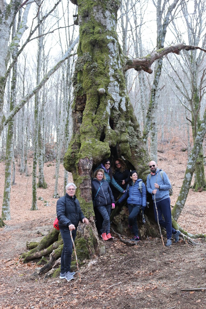 Grotta di San Catello - Monte Faito - Grotta di San Catello - Monte Faito 80050 Pimonte NA, Italy