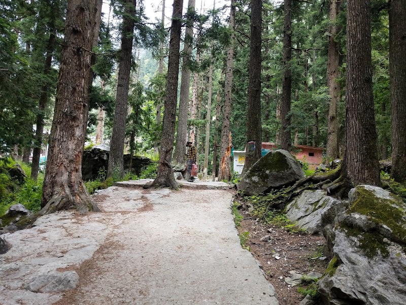 Valley of flowers Camp Ghangria - Valley of flowers Camp Ghangria Valley of Flowers Trek Route, near Gurudwara, Ghangaria, Uttarakhand 246443, India
