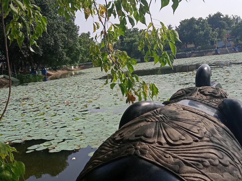 Lotus Pond - Lotus Pond Lotus Pond, Selvam Nagar, Pallikaranai, Chennai, Tamil Nadu 600100